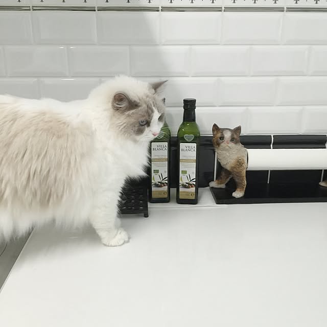 yuchiさんの実例写真
