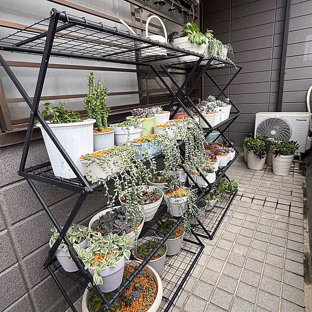 momocchiさんの部屋