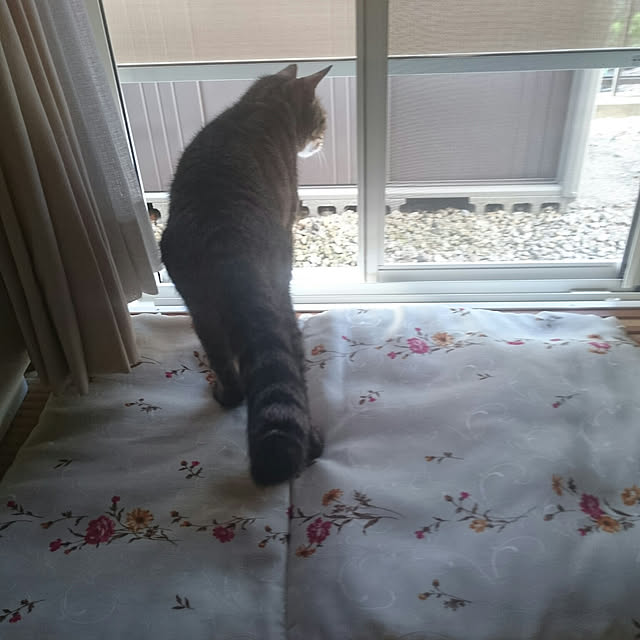 lilyさんの実例写真