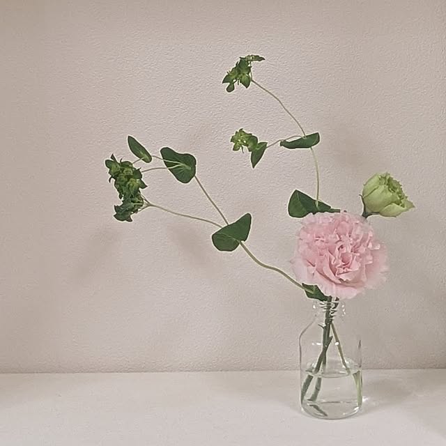 necoさんの部屋