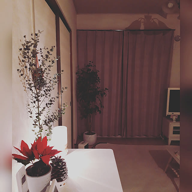 ruruさんの実例写真