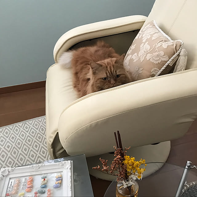 Ryokoさんの実例写真