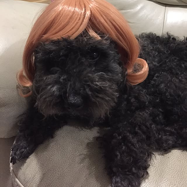 greenroseさんの実例写真