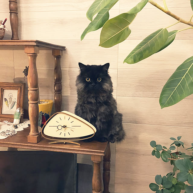 enonさんの実例写真