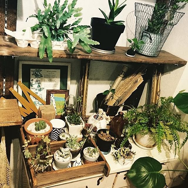 interior_yuさんの実例写真