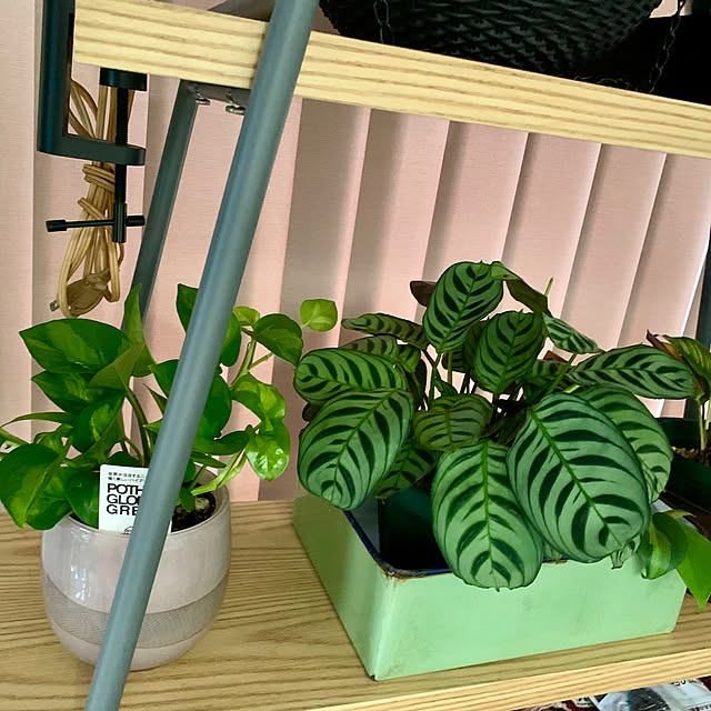 luluさんの部屋