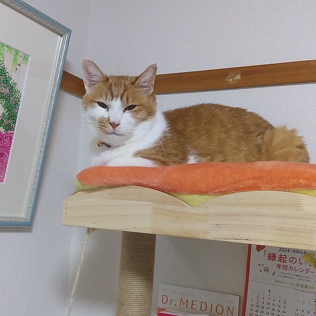 yumiさんの実例写真