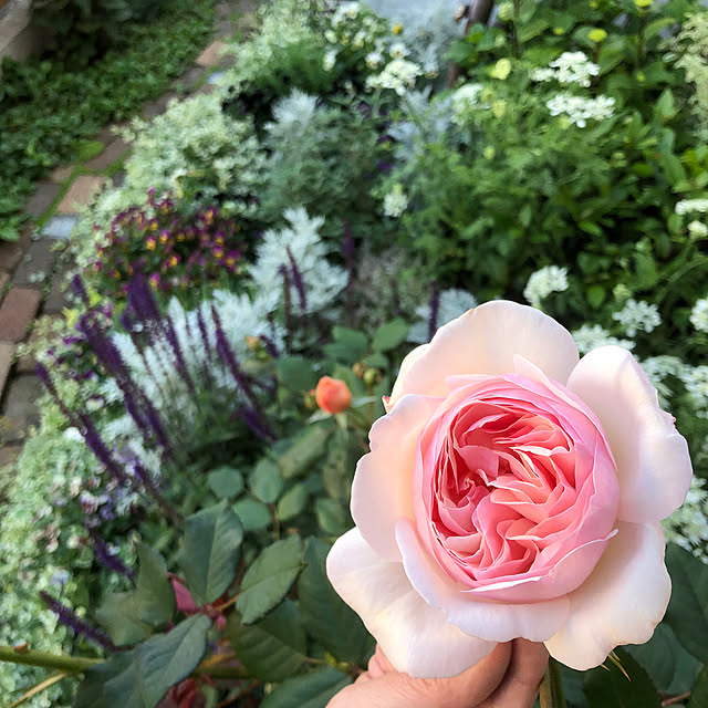 kyoko1124koさんの実例写真
