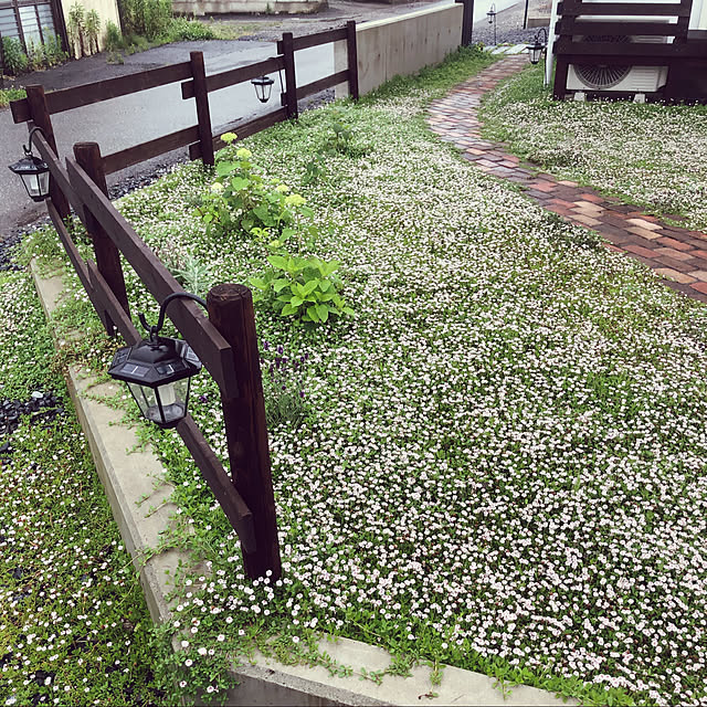kinokoさんの実例写真