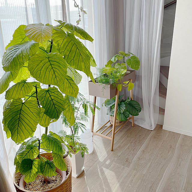 ake_h_mさんの実例写真