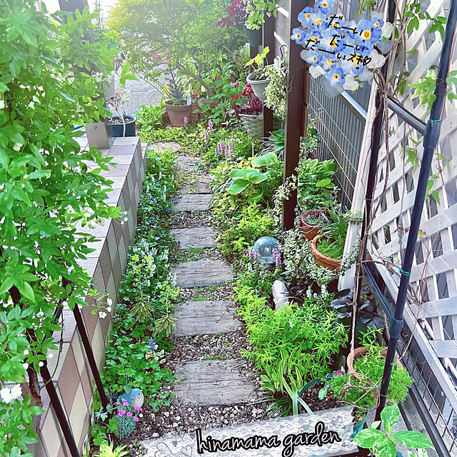 hinamamaさんの実例写真