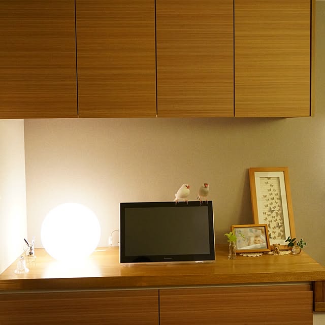 kinako_shiro_ginさんの実例写真