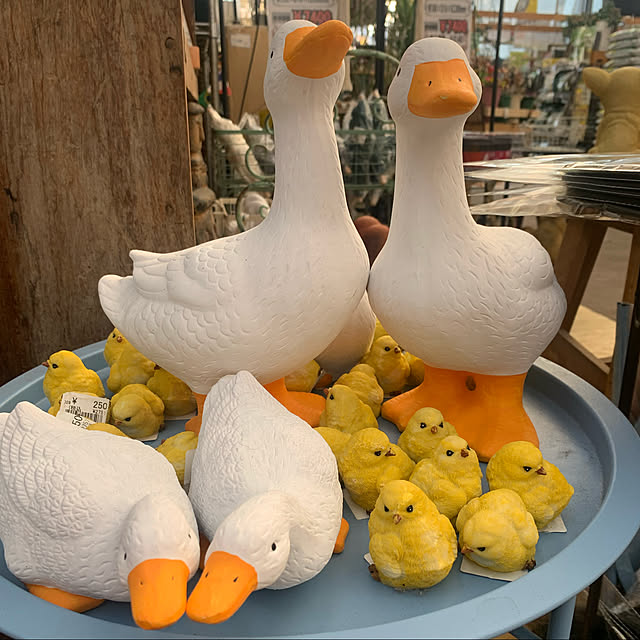 Aqettyさんの実例写真
