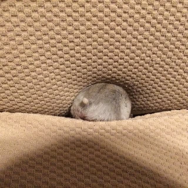 akko-rinさんの実例写真