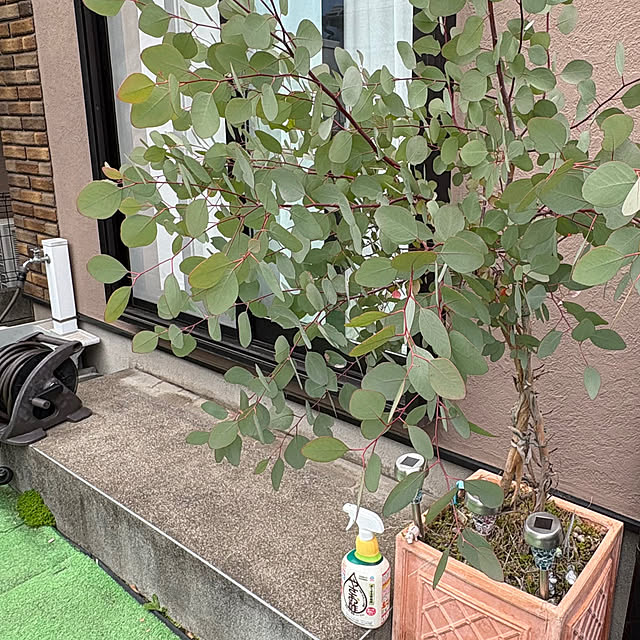 nannoさんの部屋