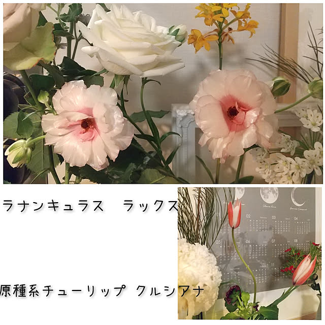 nobiさんの実例写真