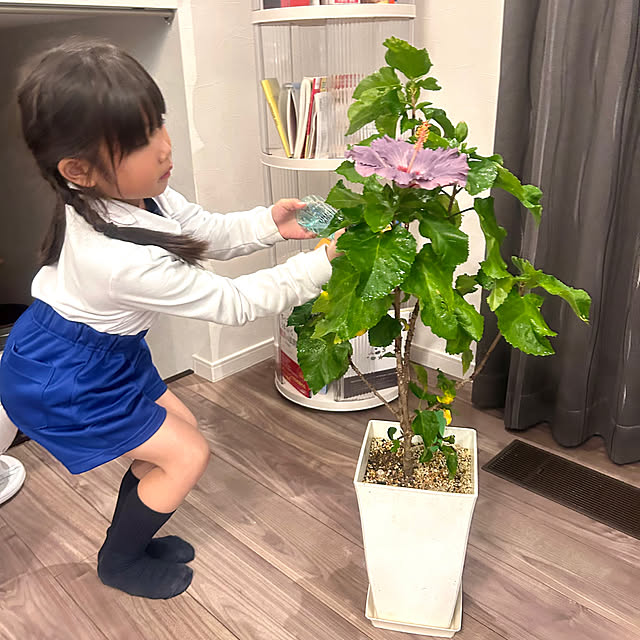 chiroさんの実例写真