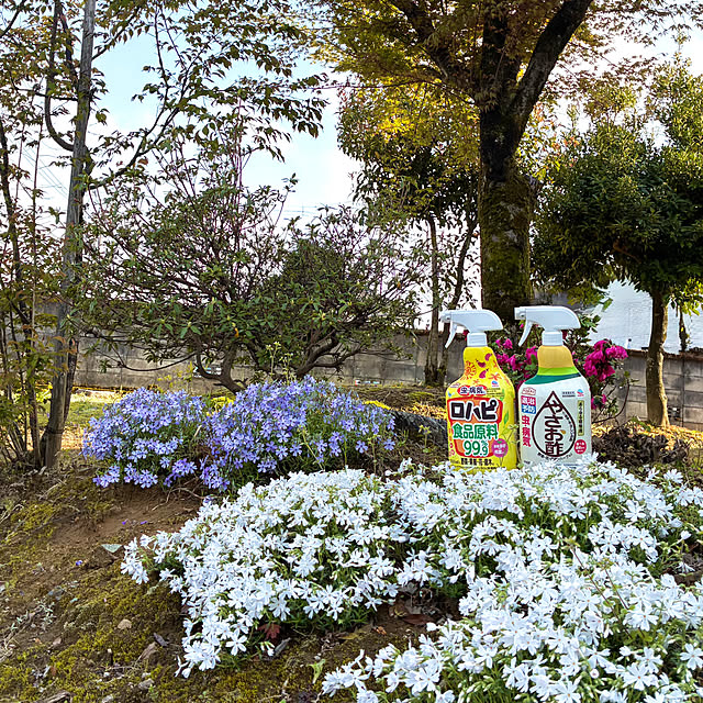 Fleur_さんの実例写真