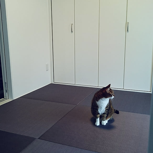 shiiiさんの実例写真