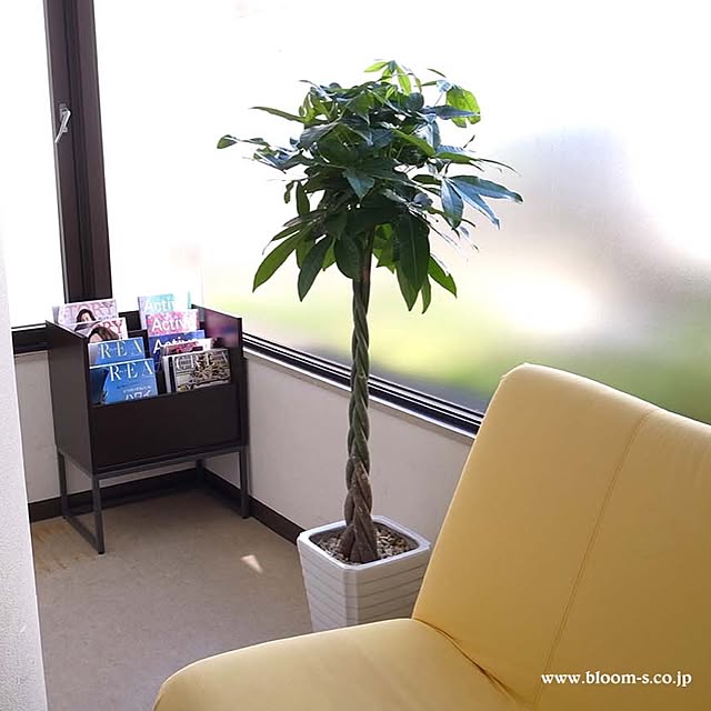 BloomingScapeさんの実例写真