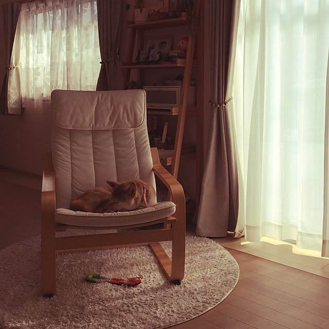 emtokさんの実例写真
