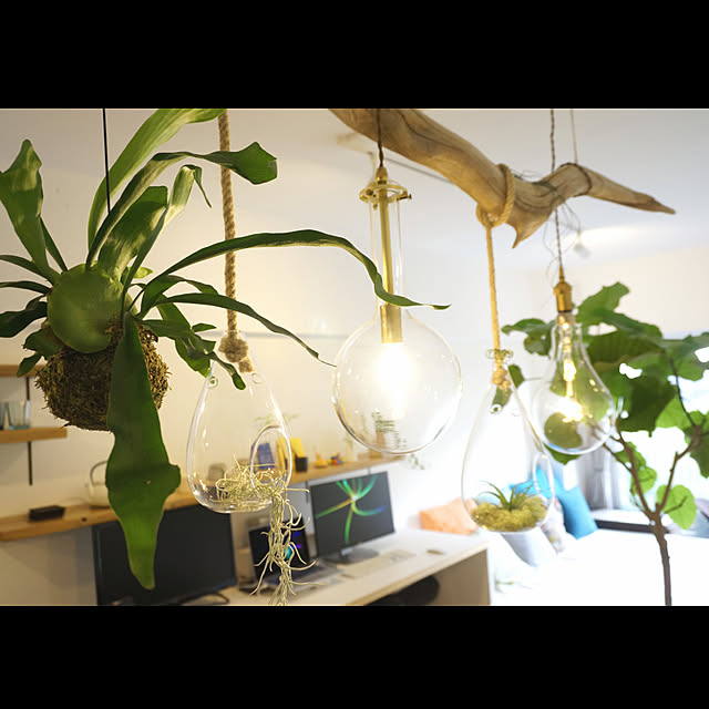 GardenGalleryさんの実例写真