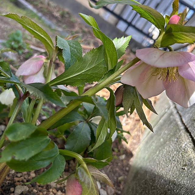 ritsukoさんの部屋