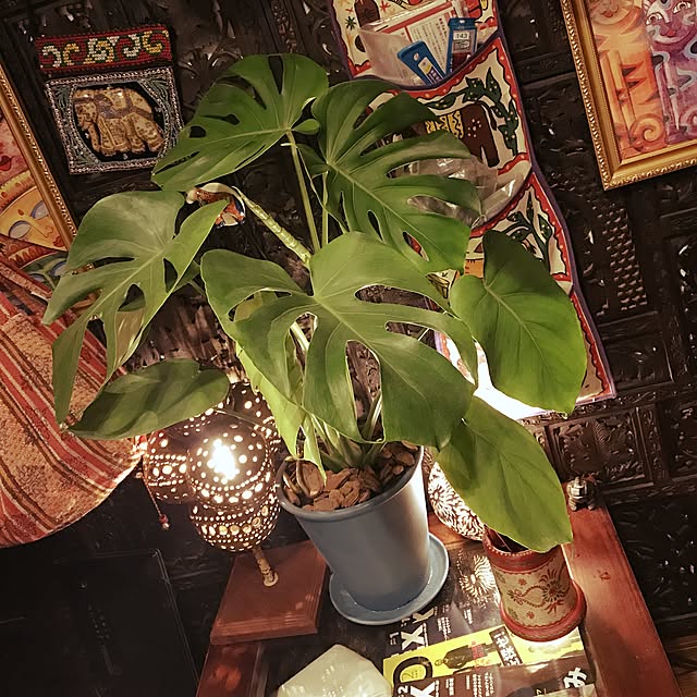 Hidekiさんの実例写真