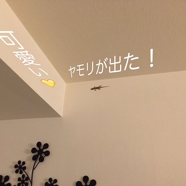 dodoさんの実例写真