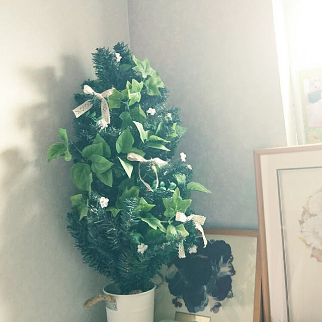 tata-kukuさんの実例写真