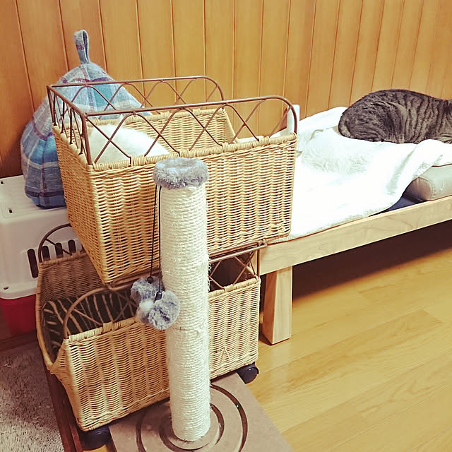 nachiさんの実例写真