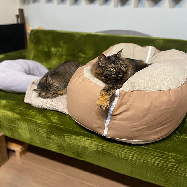 mikomaruさんの実例写真