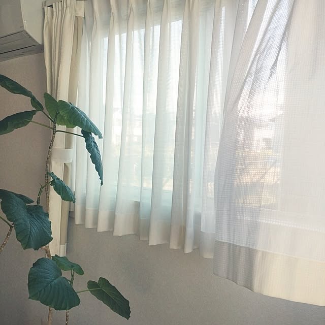 tan5さんの実例写真