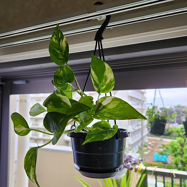takoさんの部屋