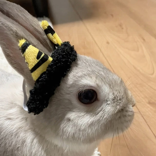 ka2mi2ko4さんの実例写真