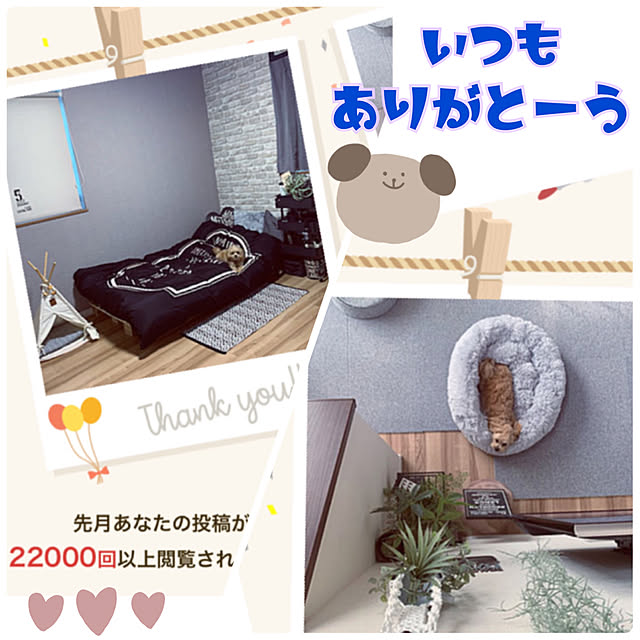 ikt.tamaさんの実例写真