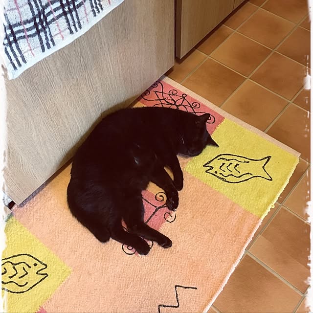 shigimiさんの実例写真