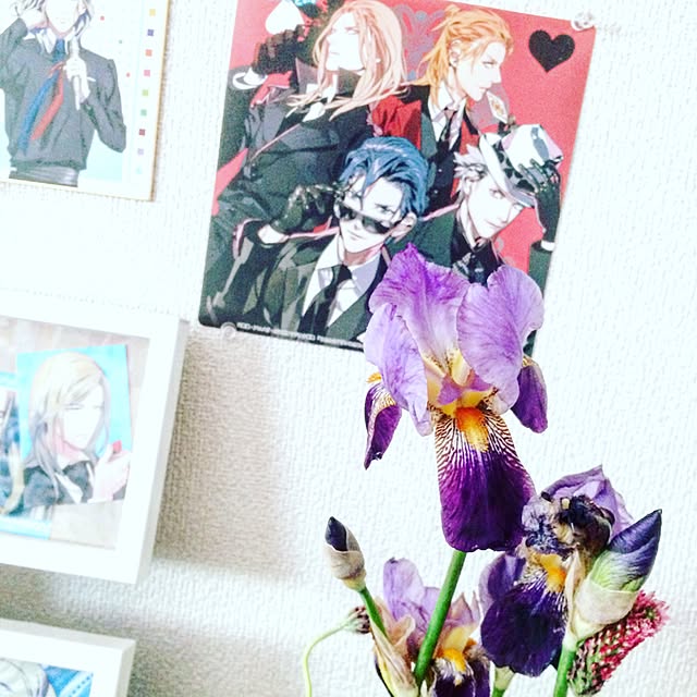 somoさんの実例写真
