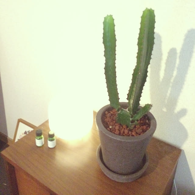 mrさんの実例写真