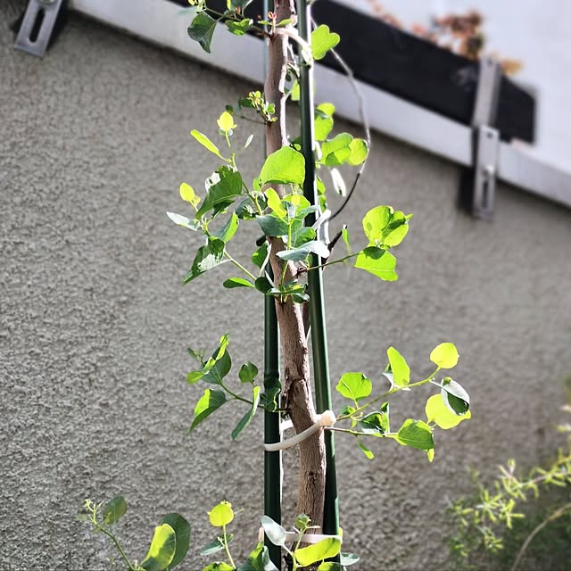 jinさんの部屋