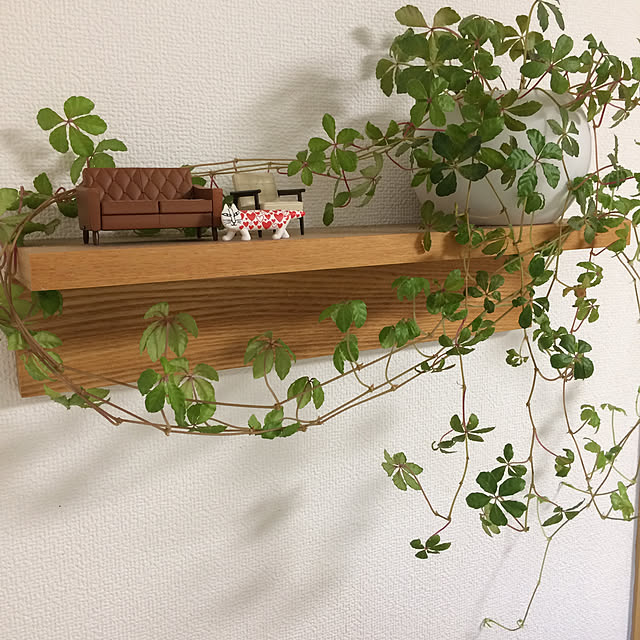maruさんの実例写真
