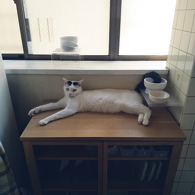 yukieさんの実例写真