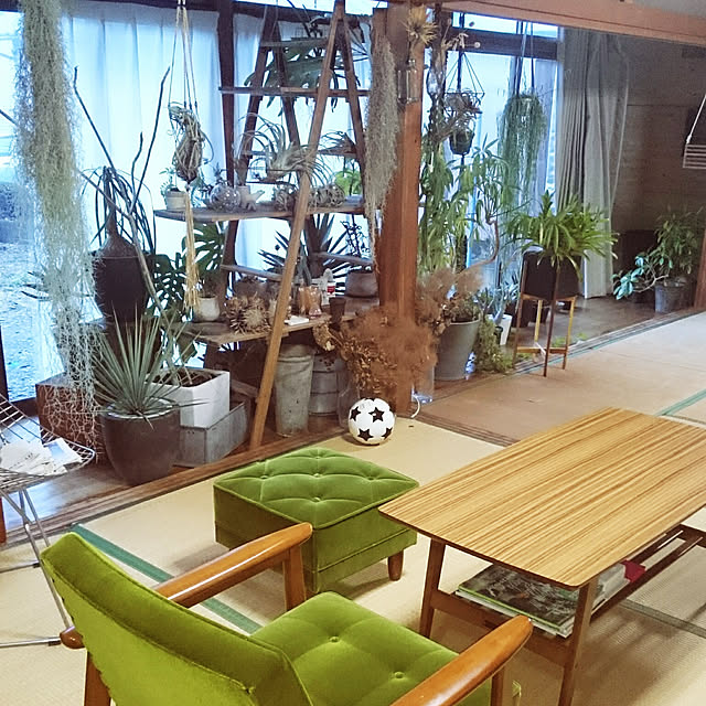 takenさんの実例写真