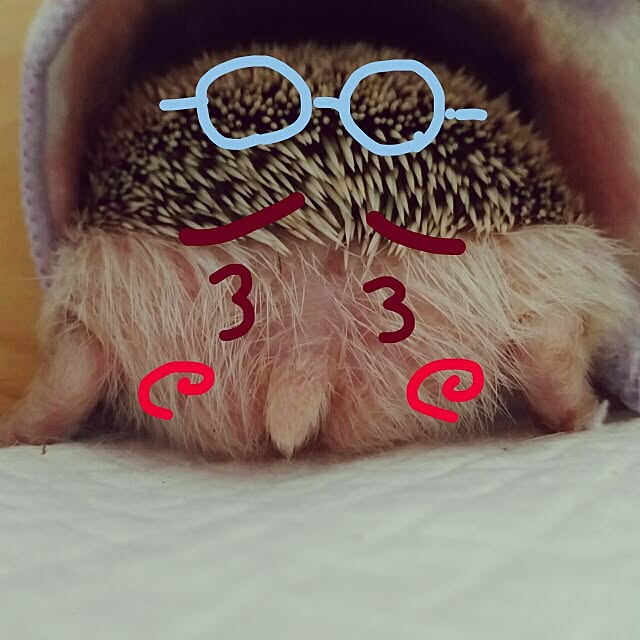 kuruさんの実例写真