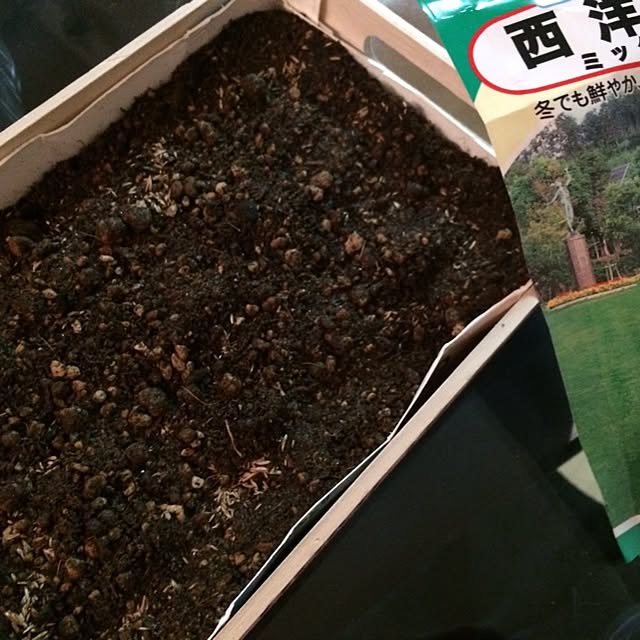 Asumiさんの実例写真