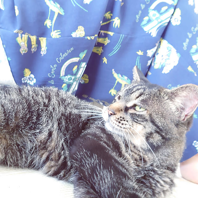 harungoさんの実例写真