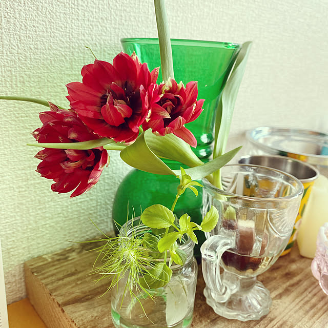mingosさんの実例写真