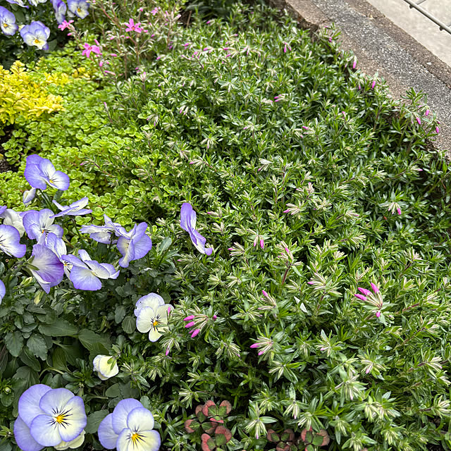 omasaさんの部屋