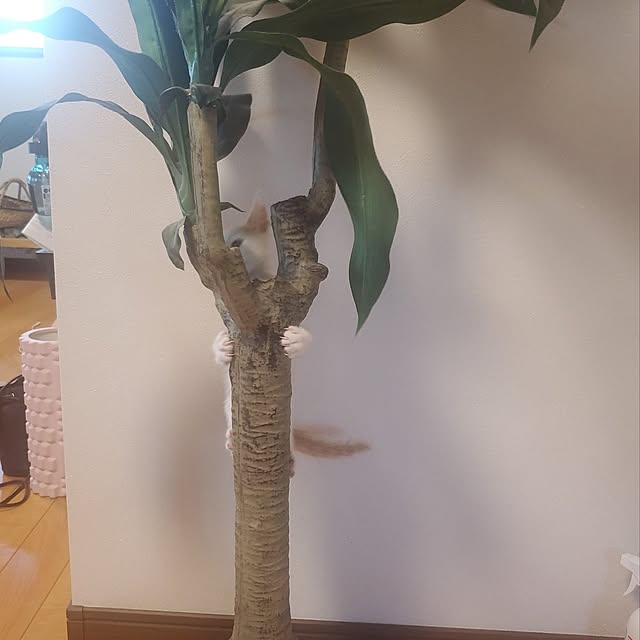 kanaさんの部屋