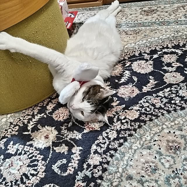 yuuさんの部屋